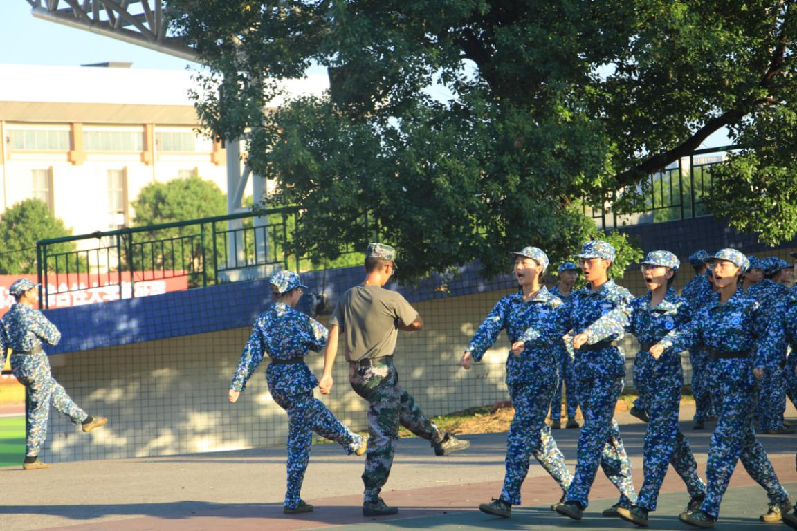 4e52654b2f9b48c18a14cc3237623b86.png 4e52654b2f9b48c18a14cc3237623b86.png