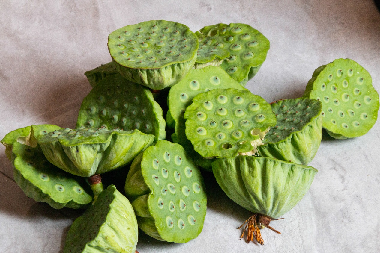 fd768c36ff8e4d05a4e0ef766d3fc21e.png fd768c36ff8e4d05a4e0ef766d3fc21e.png