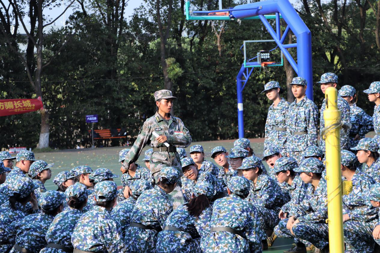 5ebbca48446a4173a517a0f5e70762ca.png 5ebbca48446a4173a517a0f5e70762ca.png