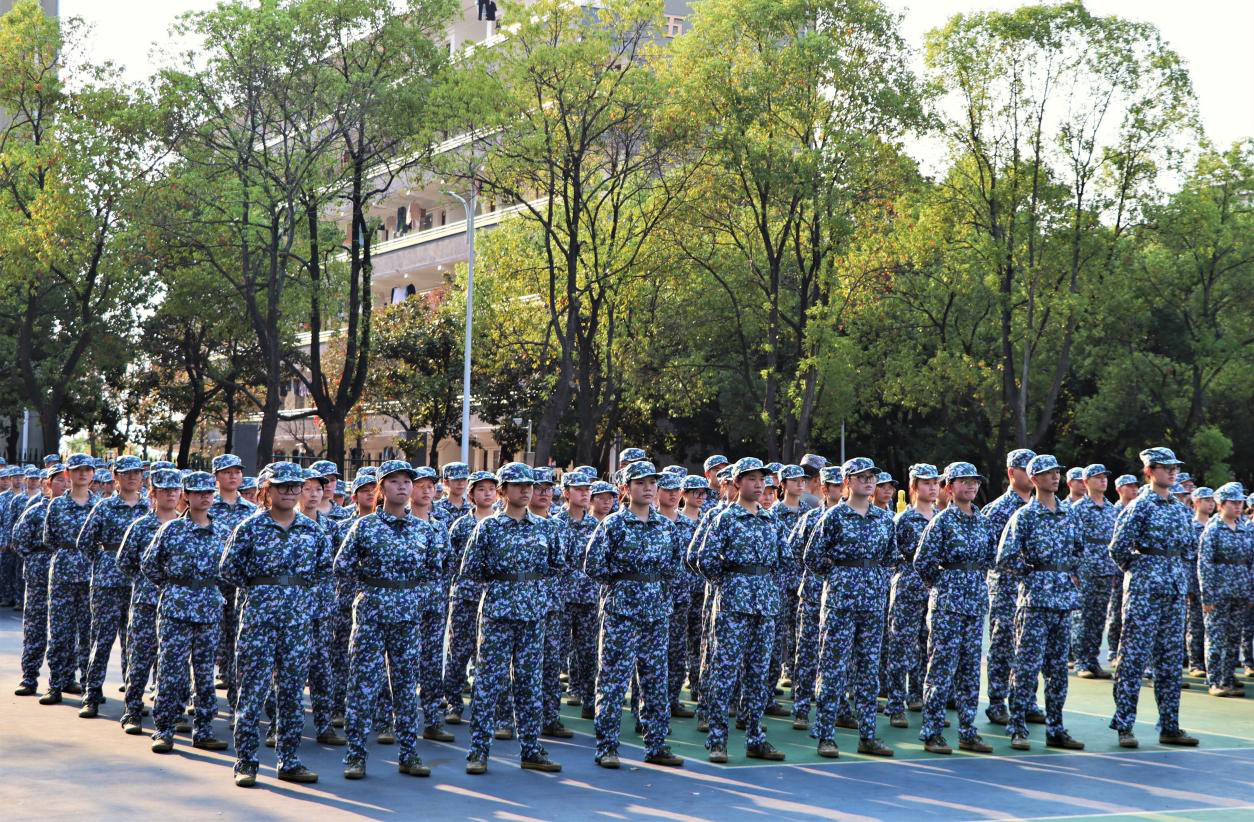 81e97241832b41e092ceb182cf948531.png 81e97241832b41e092ceb182cf948531.png